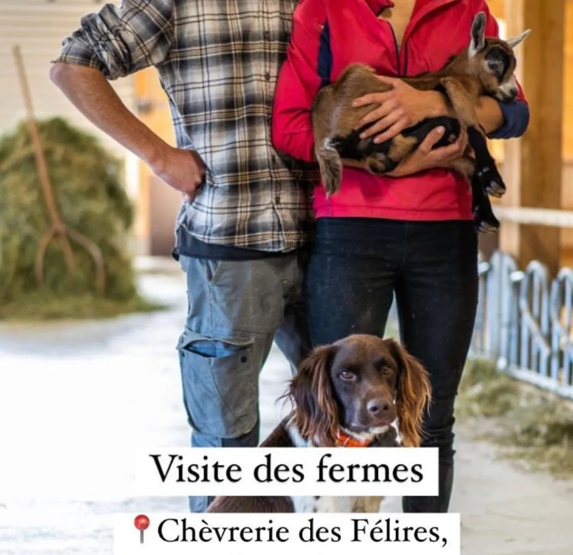 Tres Bel Appartement Au Gets Les Gets Apartment